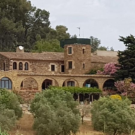 Mas Tomas Guest House Vall Llobrega Bagian luar foto