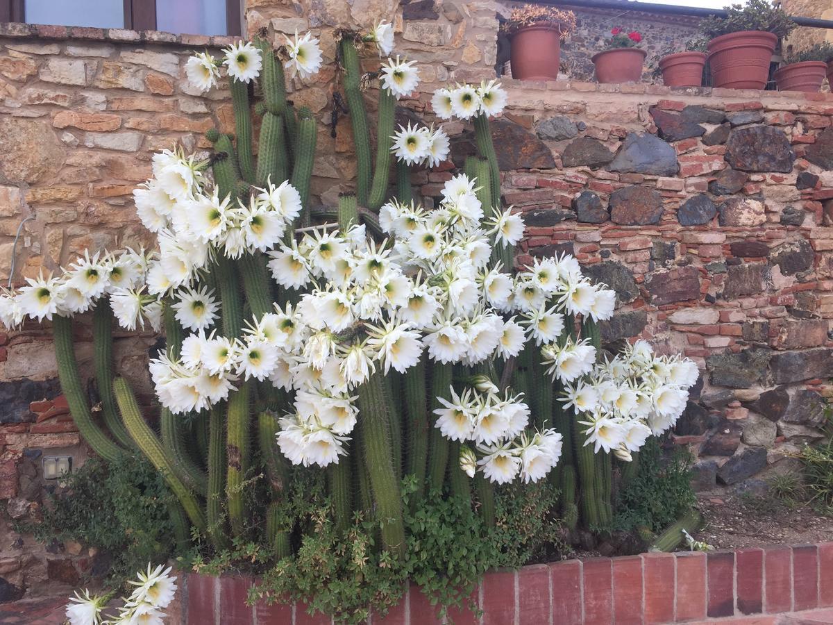 Mas Tomas Guest House Vall Llobrega Bagian luar foto
